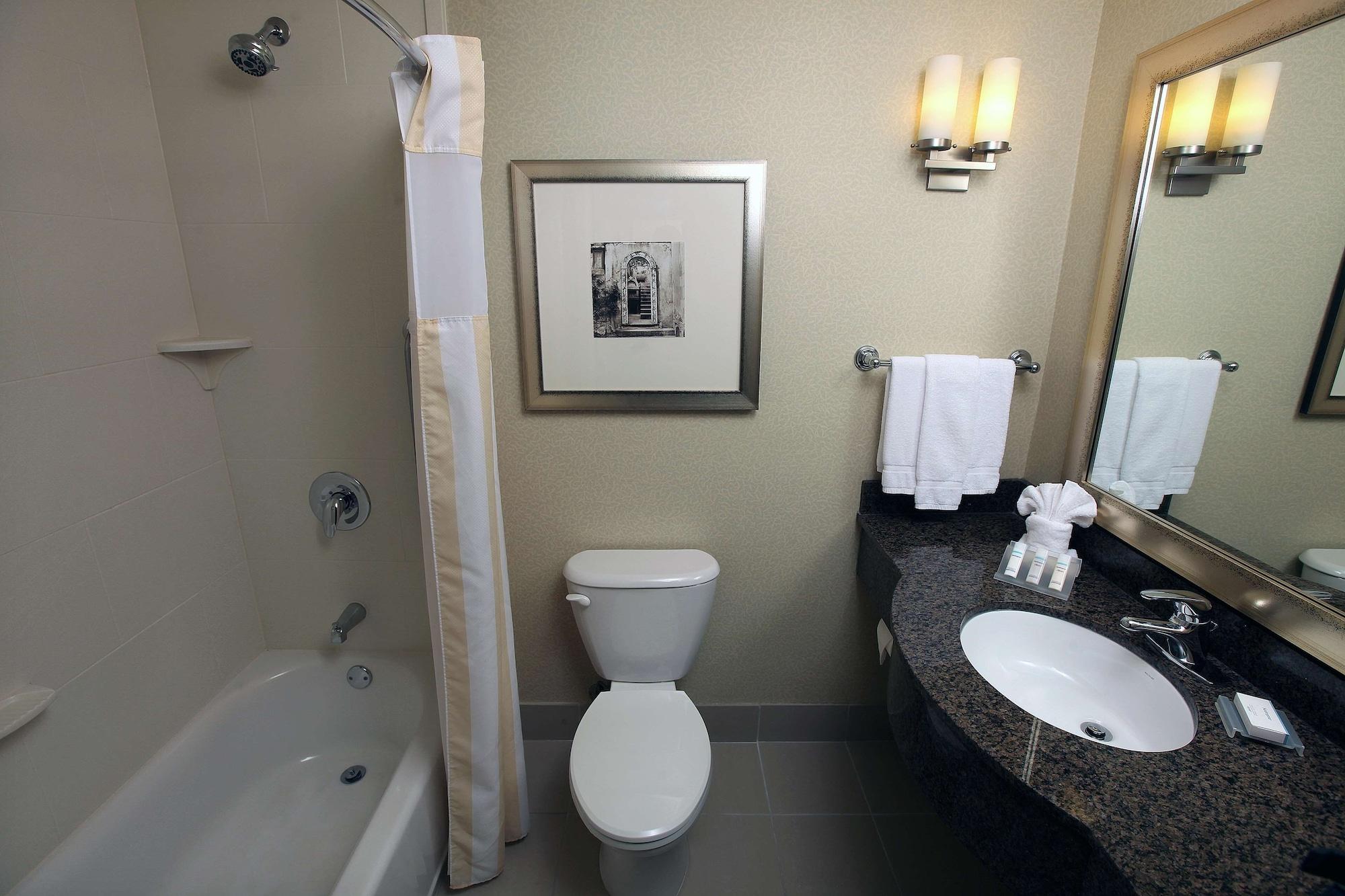 Hilton Garden South Hotel