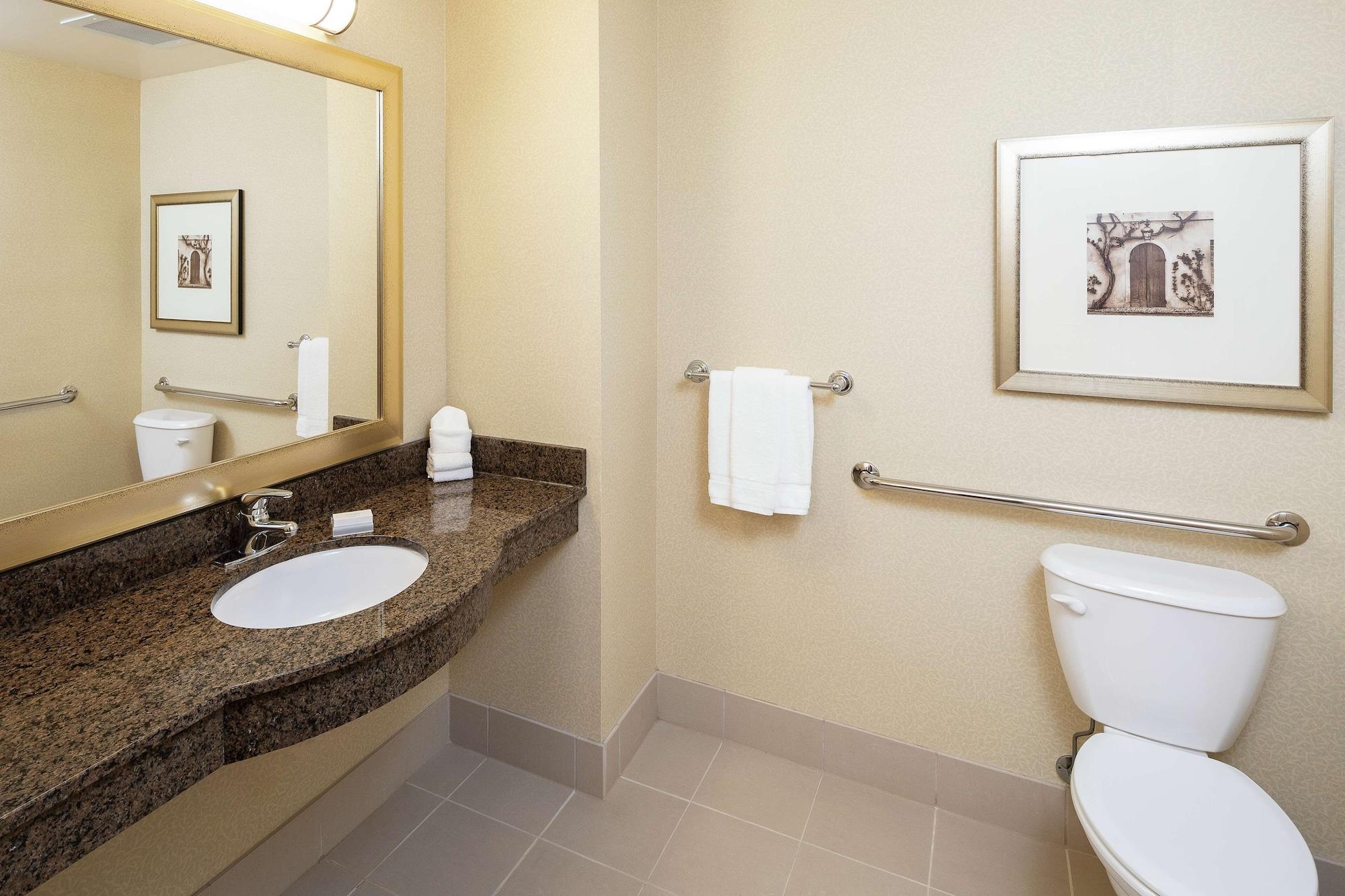 Hilton Garden South